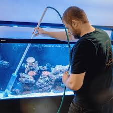 Stingray Care Guide - complete stingray care information